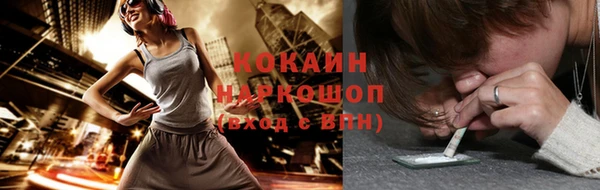 сатива Балахна