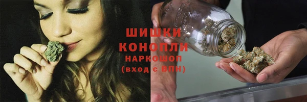 сатива Балахна