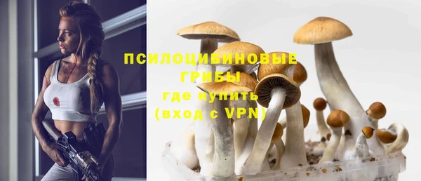амф Балабаново