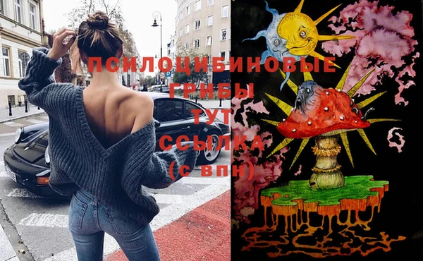 молекула духа Армянск