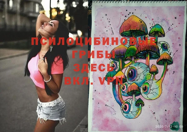 ешки Аркадак