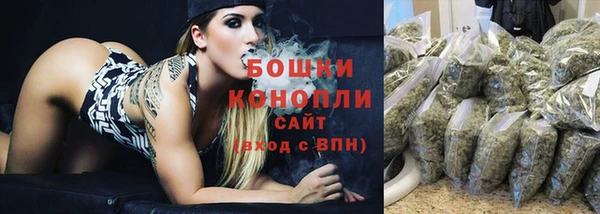 ешки Аркадак